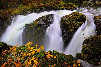 Mountain stream, serenity, triple, nice, cascades, autumn, water, calm, fall, beautiful, rocks, stones, mountain, falling, leaves, pretty, branches, waterfall, nature, lovely, calmness, forest, foliage, stream HD wallpaper