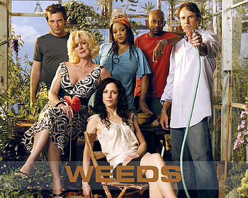 Weeds, Weeds TV Drama, Weeds TV Comedy Drama, Weeds TV Show HD wallpaper