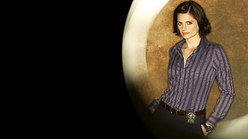 Stana Katic, sexy, drama, beautiful, film, actress, heroes, tv series, castle, crime HD wallpaper
