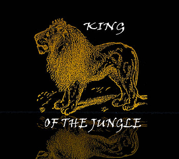 King O f The Jungle, jungle, king, lions, animals HD wallpaper