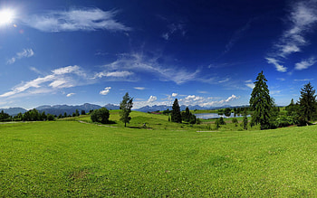 Nature, Trees, Sky, Summer, Plain, Meadow, Sunny, Heat, Warmth HD wallpaper