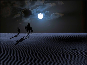 Moon Light, cool, moon, , light HD wallpaper