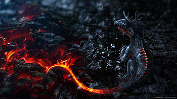 3D Lava Dragon Baby for HD wallpaper