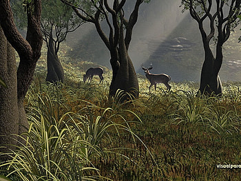 muledeer, sprit of the forest HD wallpaper