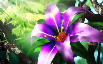 LILY, PETALS, LEAVES, NATURE, PURPLE HD wallpaper
