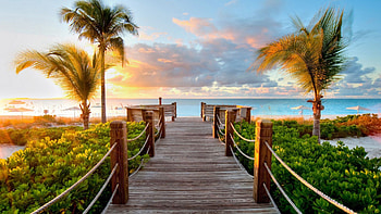 Nature, Sea, Palms, Shore, Bank, Ocean, Track HD wallpaper