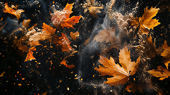 Stunning Autumn Leaves - Ultra, autumn leaves, falling leaves, nature, Abstract, graphy HD wallpaper