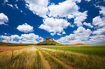 Golden field, landscape, nature, field, cloud HD wallpaper