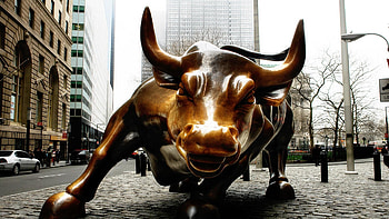 Wall Street Wall Street Bull HD wallpaper
