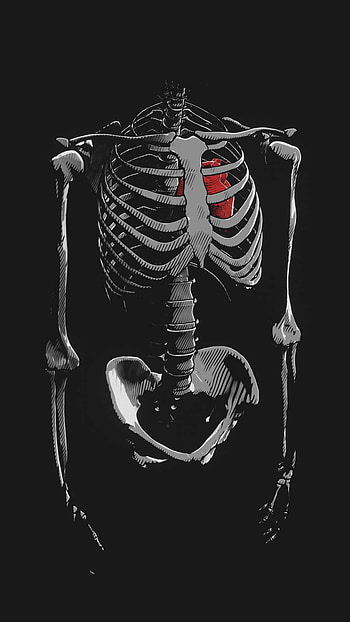 Heart in Skeleton, coil spring, jaw HD phone wallpaper