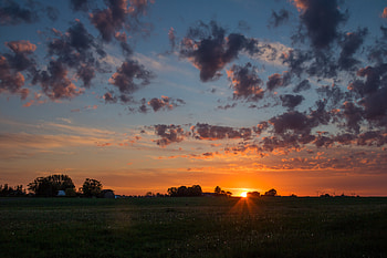 Nature, Grass, Sky, Clouds, Dawn, Horizon, Field, Morning HD wallpaper