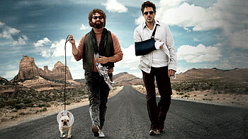 Due Date, Movie 2010, , Posters HD wallpaper