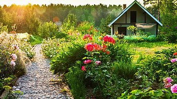 Country house, Stunning backgrounds, Peaceful haven, Country living HD wallpaper