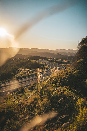 Landscape, Nature, Grass, Sky, Road, Turn HD phone wallpaper