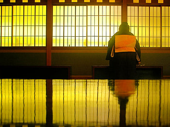 tea house, tea, ceremony, house, japan HD wallpaper