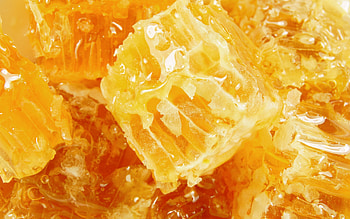 Honey's allure, Delectable nectar, Tempting background, Nature's sweetness HD wallpaper