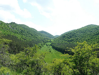 Hemus, bulgaria, vratza, green, mountain HD wallpaper