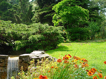 Garden with waterfalls, garden, waterfalls, grass, spring, tree, flower, green, nature, forest HD wallpaper