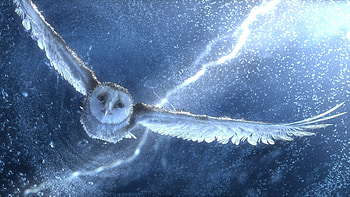 Legend of the Guardians: The Owls of Ga'Hoole, Engrossing movie, Epic journey, Family film HD wallpaper
