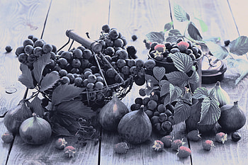blueberries, Digital Art, Digital Painting, Illustration, Artwork, Landscape HD wallpaper