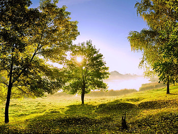 Good morning, blue sky, rays, green, trees, grass, sunrise HD wallpaper