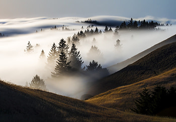Fog Mountain, Fog, nature, Morning, Mountain, sky HD wallpaper