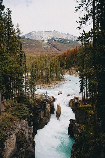 Nature, Rivers, Mountain, Waterfall, Forest HD phone wallpaper