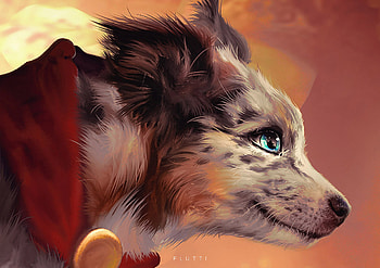 Super Dog, dog, charline k, flutti, fantasy, art, border collie, luminos, caine HD wallpaper