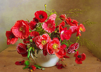 Vase with poppies, still life, poppies, bouquet, red, vase, flowers, beautiful, lovely, pretty HD wallpaper