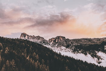 Majestic view of the Dolomites during sunrise with fog rolling over pine forests. HD wallpaper