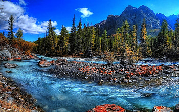 Mountain River in South Tyrol, Italy, domites, landscape, trees, sky, alps, stones HD wallpaper