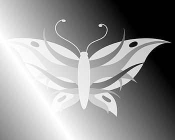Butterfly - Black, white, simple, shade, grey, butterfly HD wallpaper