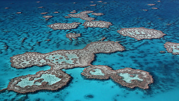 Great Barrier Reef, Australia HD wallpaper