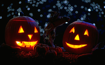 Pumpkin - HD wallpaper