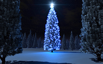 Christmas Live . HD wallpaper