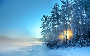 Winter Sunrise, trees, sky, sun, snow, landscape HD wallpaper