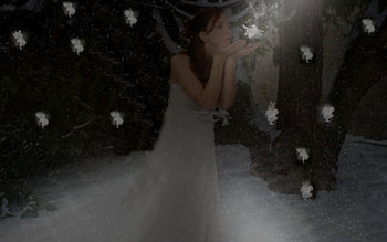 ~ Fairies In Darkness, girl, fairies, blowing, night-time HD wallpaper