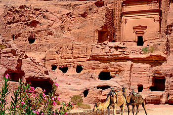 The Nabataean Tombs, Petra, Jordan, camels, architecture, tombs, jordan, ancient HD wallpaper