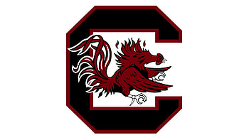 University of South Carolina, Gamecocks HD wallpaper