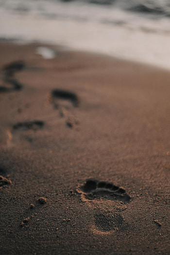 Beach, Sand, Miscellanea, Miscellaneous, Track, Trace HD phone wallpaper