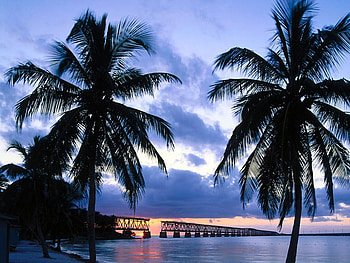 Key Largo sunset, blue, relaxing, clouds, bridge, orange, palm trees, sunset, ocean HD wallpaper
