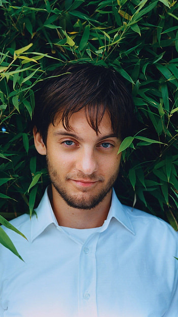 Tobby Maguire, Tobby Hollywood Actor HD phone wallpaper