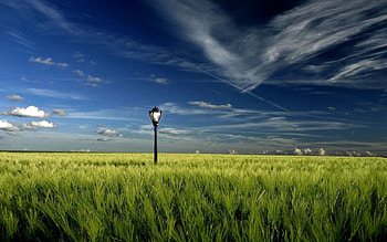 Scenic View, landscape, view, field, scenic HD wallpaper