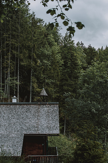 Nature, Trees, Building, Forest, House HD phone wallpaper