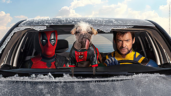 Deadpool & Wolverine Epic Ride, Deadpool & Wolverine HD wallpaper
