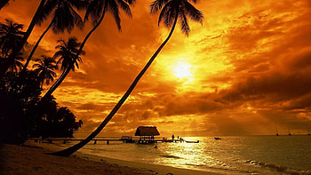 Beach Sunset, sea, tropical, colors, clouds, sky, palm trees, reflections HD wallpaper