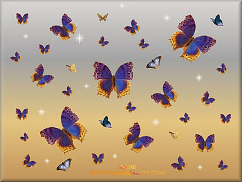 BUTTERFLY ROYALTY, blue, butterflies, orange, animals HD wallpaper