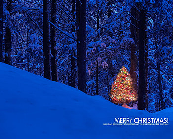 christmas 4, christmas, 2009 HD wallpaper