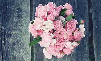 Dream, pink bouquet, roses, pink pastel, soft, beautiful HD wallpaper