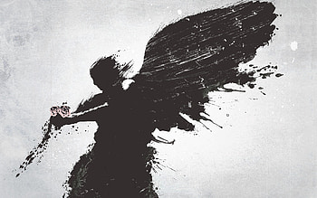 Vector, Flower, Wings, Angel HD wallpaper